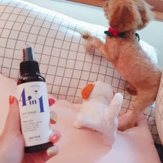 도수지님이 올린 리뷰 사진 3