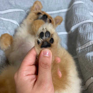 희공주님이 올린 리뷰 사진 2