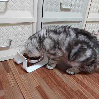 유햐님이 올린 리뷰 사진 3