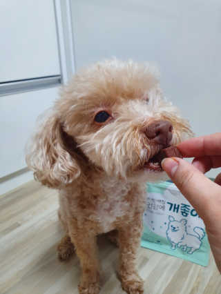 My Pet Care 천연단백질 눈건강에 개좋아 — 4.5점을 준 리뷰어가 2020년 11월 올린 사용 사진