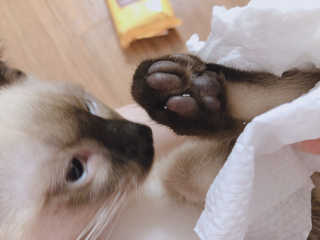 모닝스타님이 올린 리뷰 사진 3