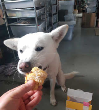 Jenny님이 올린 리뷰 사진 3