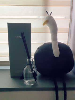 레나스 프리미엄 아로마 디퓨저 200ml  [1SET] — 5점을 준 리뷰어가 2020년 6월 올린 사용 사진