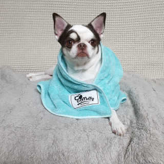 mini unni님이 올린 리뷰 사진 3