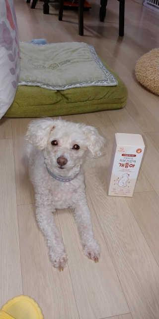 My Pet Care 모발과 모질 피부건강에 개좋아 — 5점을 준 리뷰어가 2020년 12월 올린 사용 사진
