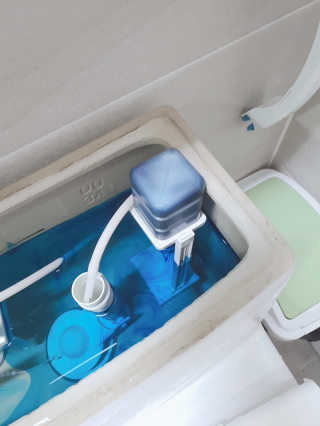 무디메이드 MUDI 변기세정제 본품, 리필 — 5점을 준 리뷰어가 2020년 6월 올린 사용 사진