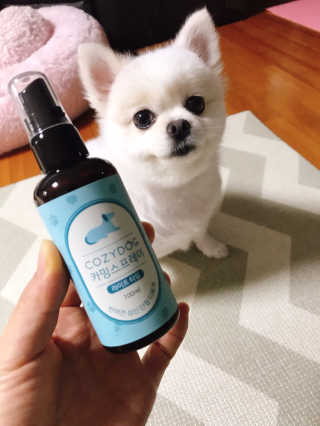 라움님이 올린 리뷰 사진 1