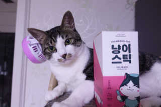 홍양님이 올린 리뷰 사진 1