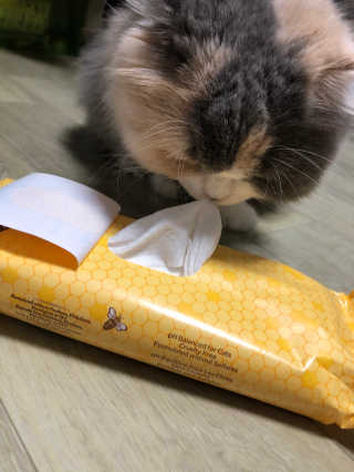 softbom님이 올린 리뷰 사진 3