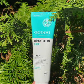 곰대가리님이 올린 리뷰 사진 1