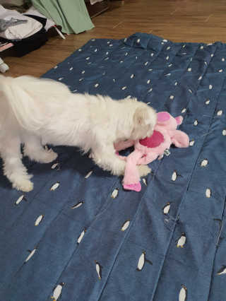 뽀오오옹님이 올린 리뷰 사진 2