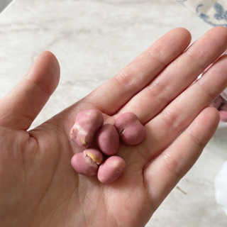 toiiiii님이 올린 리뷰 사진 2