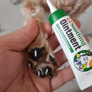 헤이뷰님이 올린 리뷰 사진 2