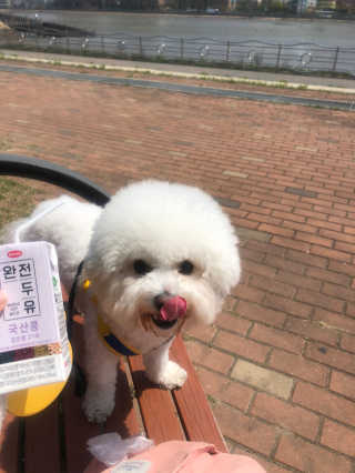 러비댕댕님이 올린 리뷰 사진 4