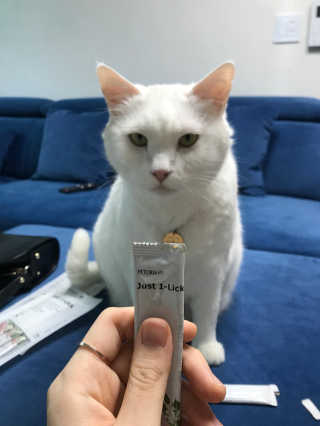 IS2UL님이 올린 리뷰 사진 1