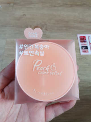 [블랙루즈] 피치 커버 벨벳 쿠션 2종 중 택1 — 5점을 준 리뷰어가 2020년 7월 올린 사용 사진