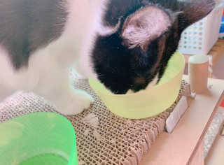 빈물딸기님이 올린 리뷰 사진 3