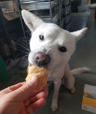 Jenny님이 올린 리뷰 사진 2