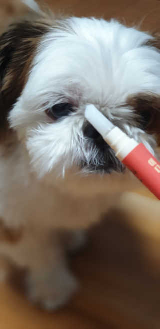 보라빗방울님이 올린 리뷰 사진 4
