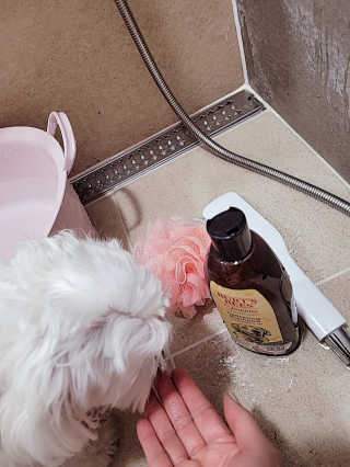 바이에이미님이 올린 리뷰 사진 3