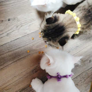 Isabelle Lee님이 올린 리뷰 사진 3