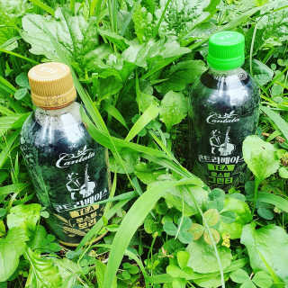 칸타타 콘트베이스 칸타타 콘트라베이스 TEA 보리/그린티 500ml — 5점을 준 리뷰어가 2020년 7월 올린 사용 사진
