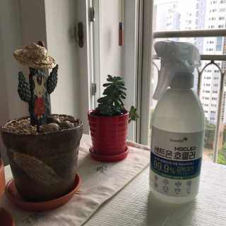 똥글님이 올린 리뷰 사진 1