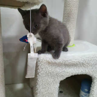 옹몽꽁맘님이 올린 리뷰 사진 4