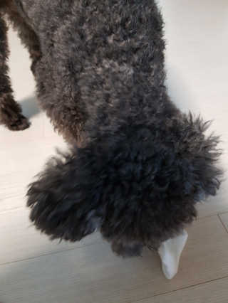 고옴이님이 올린 리뷰 사진 3