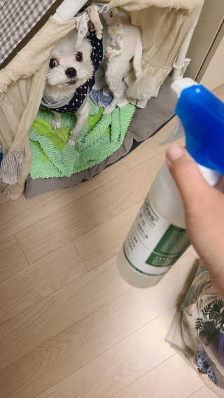 지뿡님이 올린 리뷰 사진 3