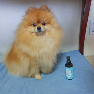 코지독 카밍스프레이 100ml — 4점을 준 리뷰어가 2020년 4월 올린 사용 사진