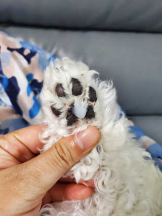 맨날배고파님이 올린 리뷰 사진 3