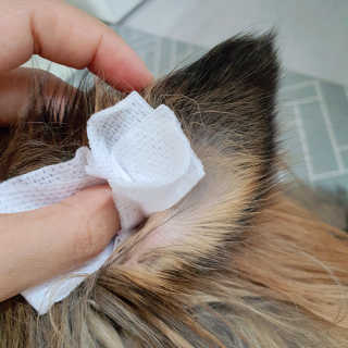 딩이님이 올린 리뷰 사진 4