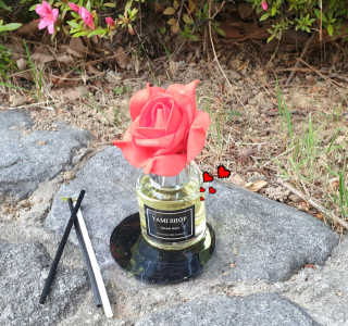 참살이님이 올린 리뷰 사진 1