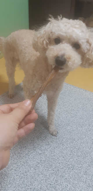 새돌댕댕님이 올린 리뷰 사진 2