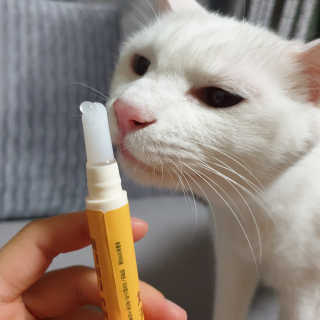 선우님이 올린 리뷰 사진 3