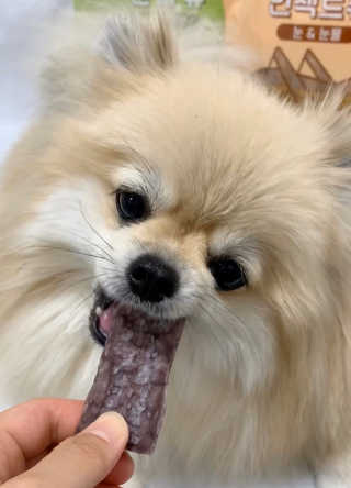 로루남매님이 올린 리뷰 사진 3