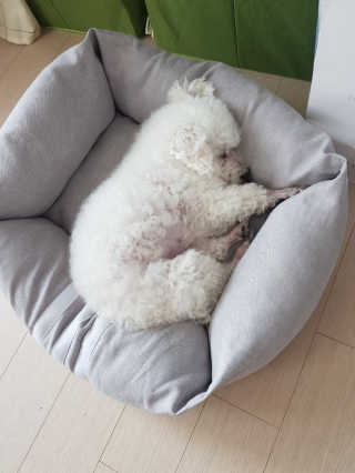 하늘쿠님이 올린 리뷰 사진 3