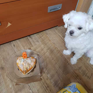 엘비스님이 올린 리뷰 사진 2