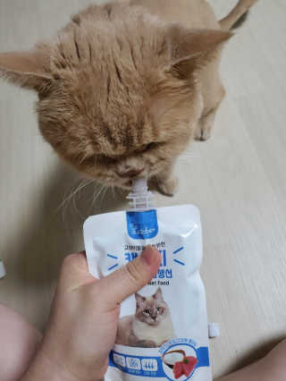 탱크돌콩님이 올린 리뷰 사진 3