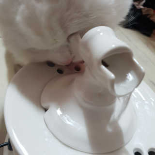 Woo7C님이 올린 리뷰 사진 1