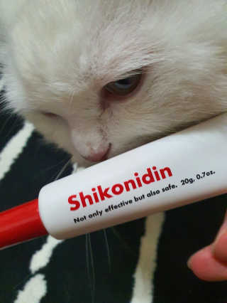 [자유펫] 시코니딘 고양이 강아지 피부 보습 연고 20g — 5점을 준 리뷰어가 2020년 7월 올린 사용 사진