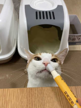 아두님이 올린 리뷰 사진 1