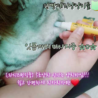 더펫원츠 [5초양치] 멍.치카펜 or 냥.치카펜 or 치카오일펜 — 5점을 준 리뷰어가 2020년 5월 올린 사용 사진