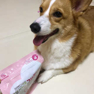 My Pet Care 천연단백질 관절건강에 개좋아 — 5점을 준 리뷰어가 2020년 12월 올린 사용 사진