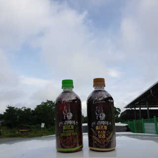 칸타타 콘트베이스 칸타타 콘트라베이스 TEA 보리/그린티 500ml — 4.5점을 준 리뷰어가 2020년 8월 올린 사용 사진