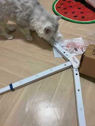 단발소녀님이 올린 리뷰 사진 3