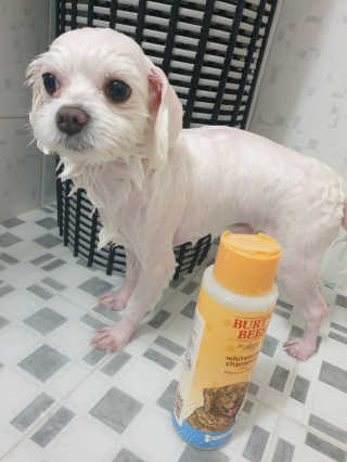고롸고롸고롸님이 올린 리뷰 사진 3