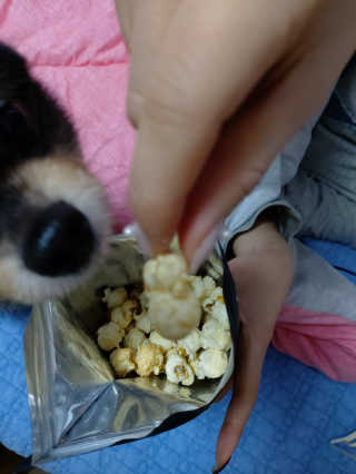 복도리님이 올린 리뷰 사진 4