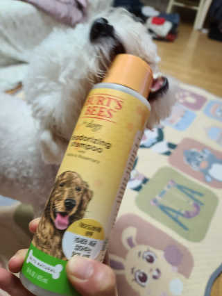 딸기우유님이 올린 리뷰 사진 2